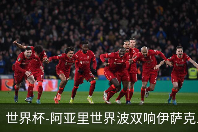 世界杯-阿亚里世界波双响伊萨克1射2传 瑞典5-1突尼斯